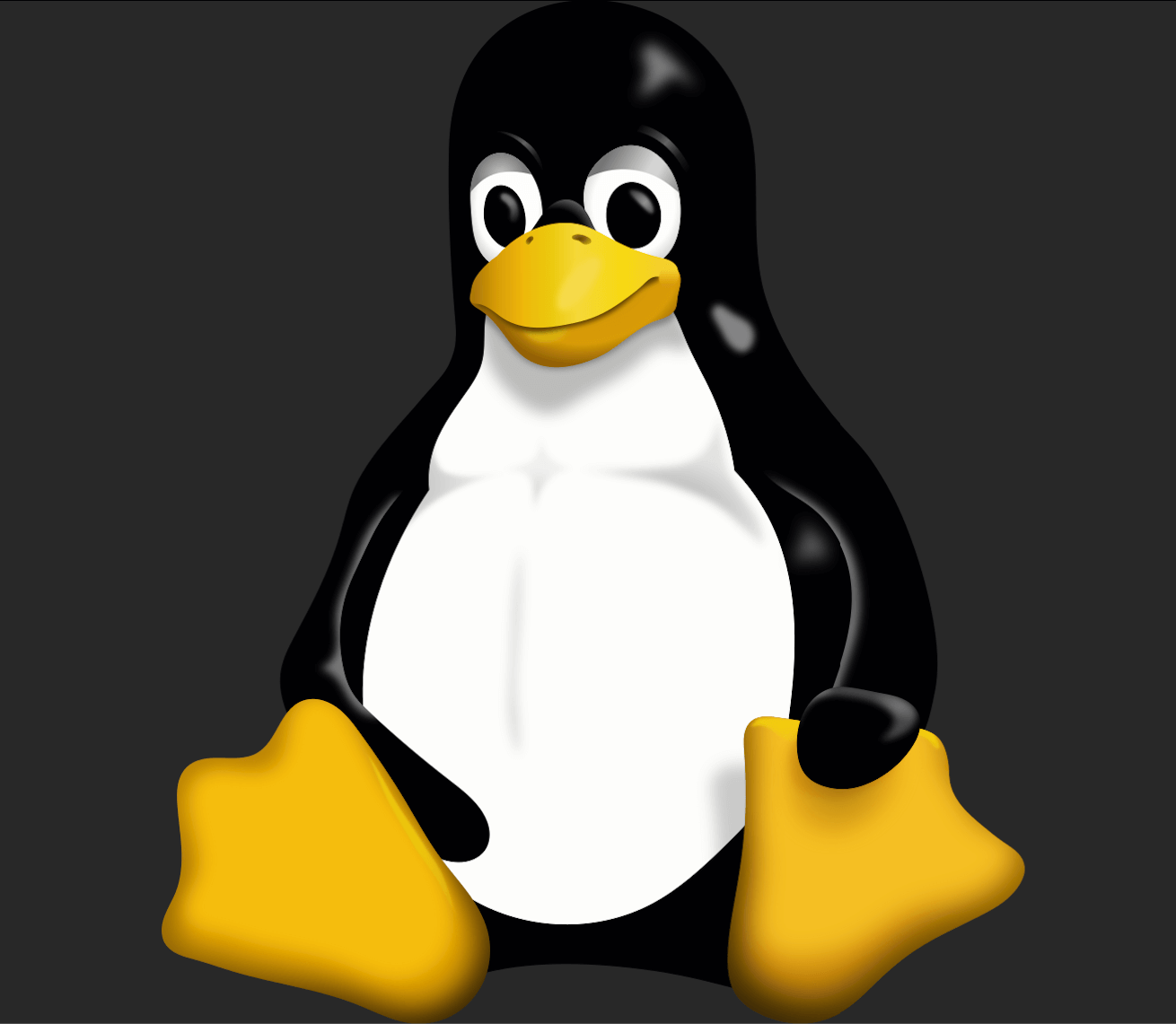 Linux命令大全,从入门到放弃